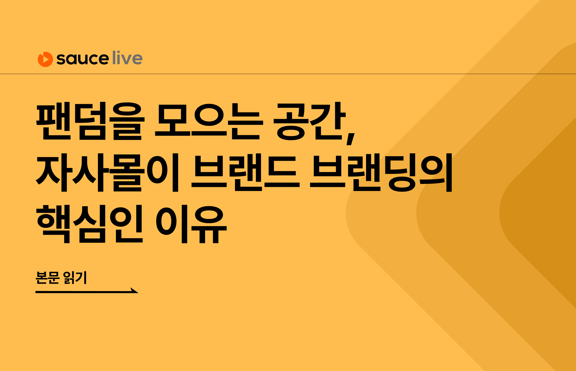 오늘의 인사이트 썸네일